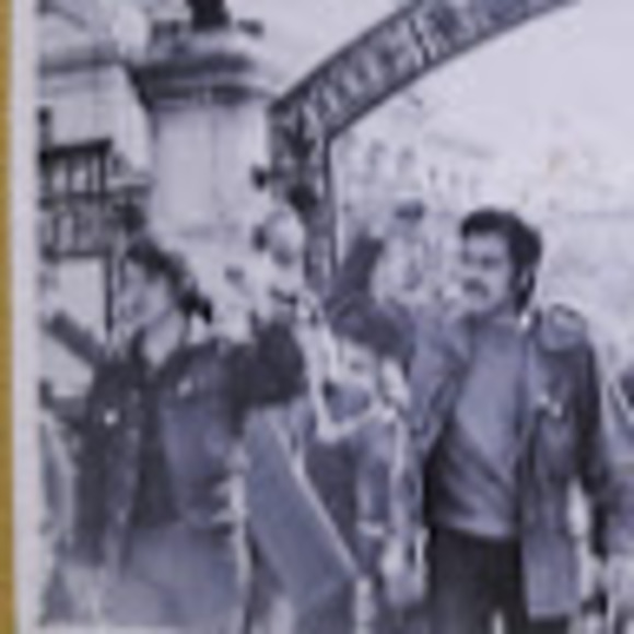 Meet your Posher, Rosa - Picture 1 of 1